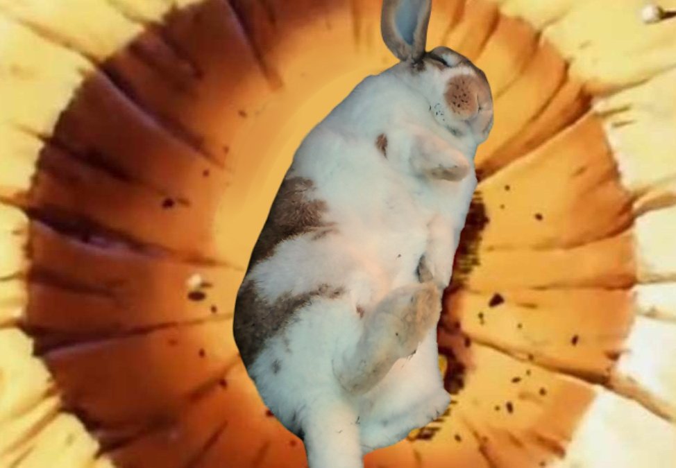 A bunny lying down in a orangish-yellow crater, a scene from Dragonball Z